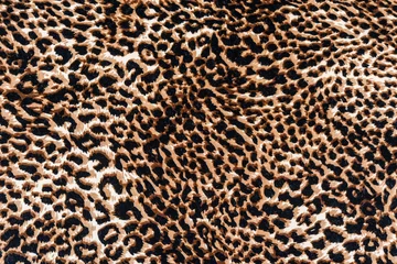 Plexiglas foto achterwand texture of print fabric striped leopard © photos777