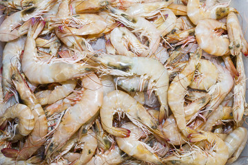 Prawns at market