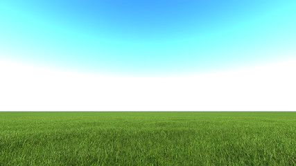 Fototapeta na wymiar Beautiful landscape, grass clean blue sky