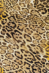 texture of print fabric striped leopard