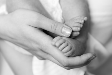 baby legs newbornnewborn baby feet in mother's hands