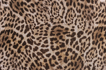 texture of print fabric striped leopard