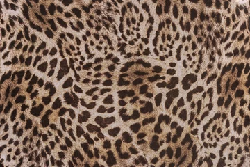  texture of print fabric striped leopard © photos777