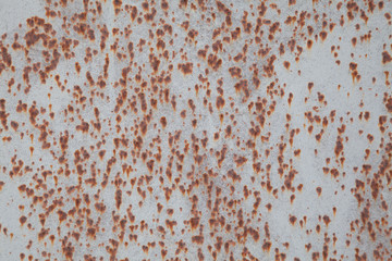 wall with red spots