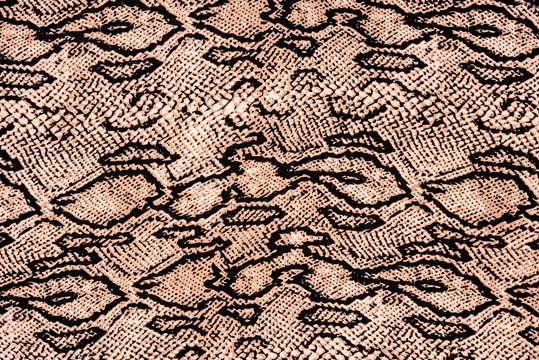 texture of print fabric striped snake leather