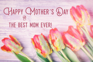 Vintage Mothers Day Card  -  Tulip flowers on wood with text HAPPY MOTHERS DAY to THE BEST MOM EVER