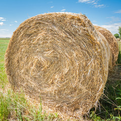 Hay bales.