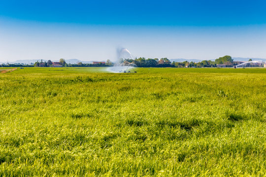 spray irrigation of fields © Vivida Photo PC