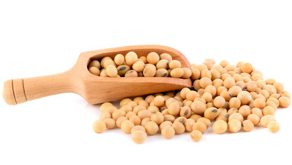 Soy beans in scoop on white background