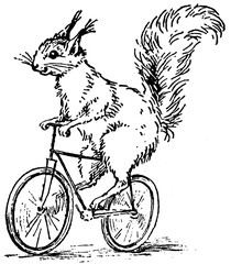 Vintage image squirrel