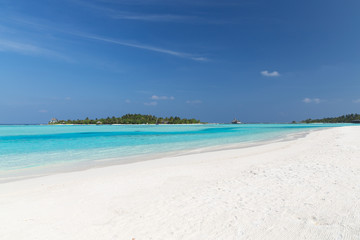 Fototapeta na wymiar maldives island beach with palm tree and villa