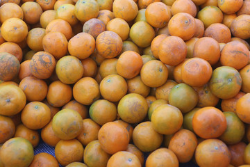 pile of fresh orange fruit.