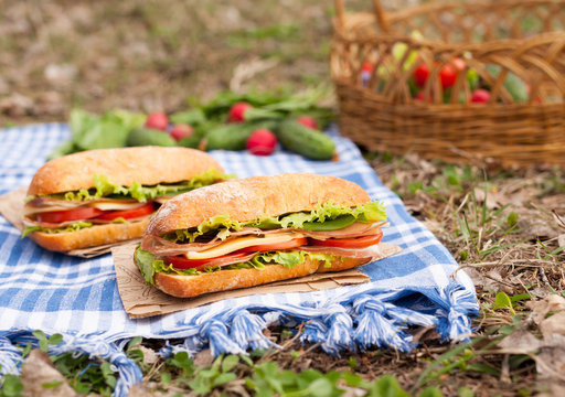 Traditional ciabatta bread sandwich lifestyle picnic lunch with vegetables, bacon, salad, cheese and onion