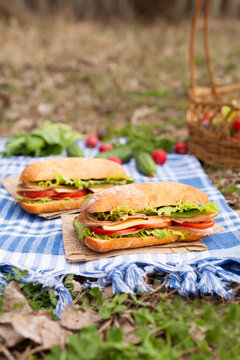 Traditional ciabatta baguette sandwich lifestyle picnic lunch with vegetables, bacon, salad, cheese and onion