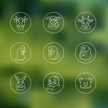 a set of linear icons farm animals in the blurry background