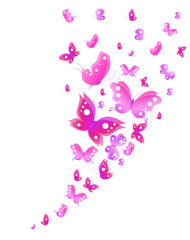 Fototapeta premium butterflies design