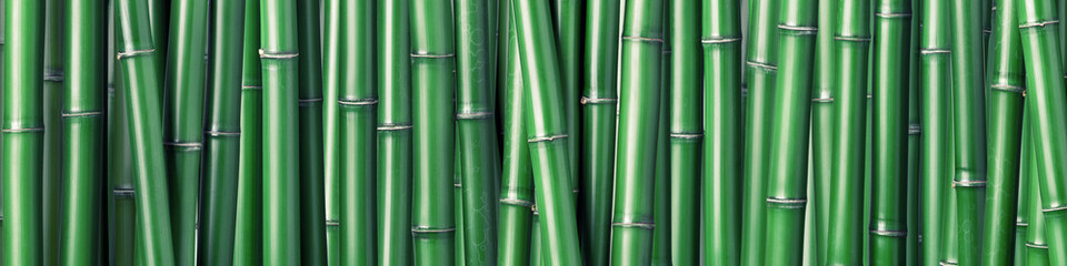 Panele Szklane  zielone bambusowe tło