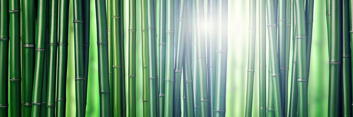 Peel and stick wall murals Bamboo green bamboo background