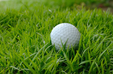 Golf ball on green grass
