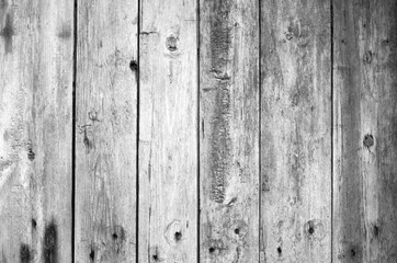 Wood plank texture