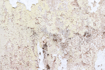 white concrete wall texture