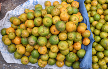 fresh oranges on market