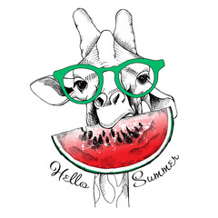 Naklejka premium The image of the Giraffe with the watermelon. Vector illustration.