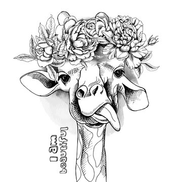 Image Portrait of a giraffe in the flowers. Vector illustration.