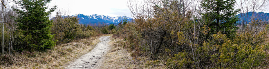 Wandergebiet im Isarwinkel bei Lenggries mit Blick aufs Karwendelgebirge - Panoramafoto