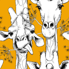 Naklejka premium Seamless pattern with the image of giraffes munching grass. Vector black and white illustration.