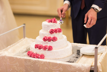 bride and a groom is cutting their wedding cake