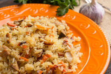 Asian pilaf on a orange plate