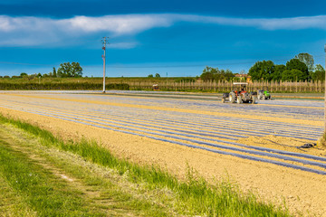 tractors on the plowed fields
