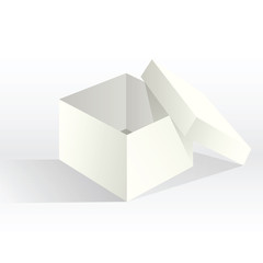 Empty White Box