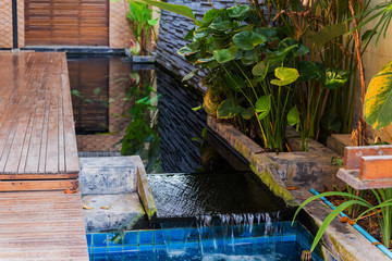 Luxury garden for house interior