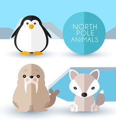 North Pole Animals : Vector Illustration