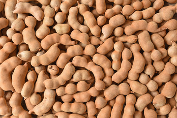 Sweet tamarinds from the garden