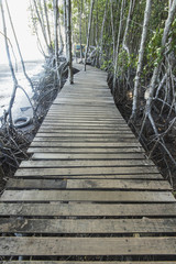Fototapeta premium Wooden bridge