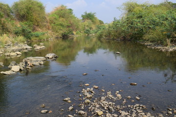 shallow river in dry season in Vietnam 