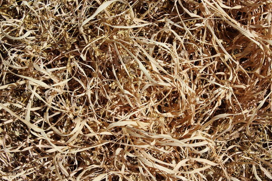 grass drw