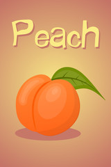 Vector colorful peach icon