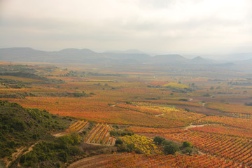 vi&ntilde;edos en oto&ntilde;o