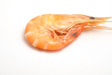 Tropical shrimp