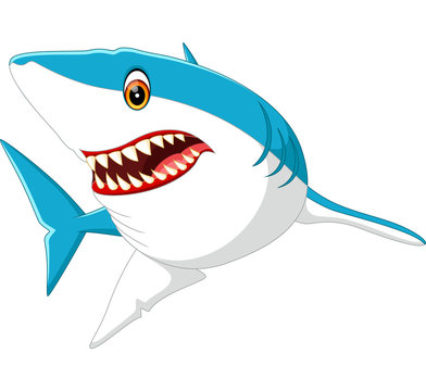 illustration of cute shark cartoon