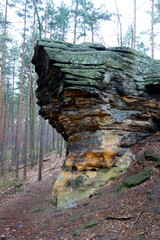 enormous sandstone on the hill in the forest in Poland 