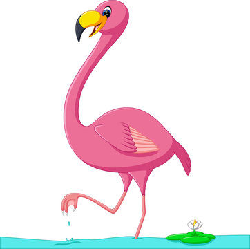 illustration of cute flamingo cartoon