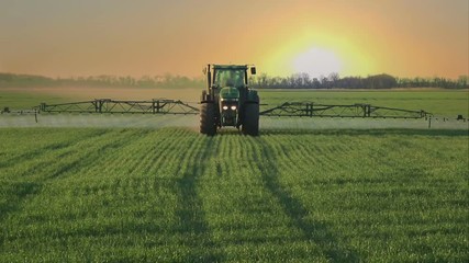 green tractor spraying the wheat field with chemicals in cloudy spring day
