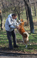 Man and joyful dog in public park