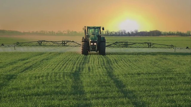 green tractor spraying the wheat field with chemicals in cloudy spring day