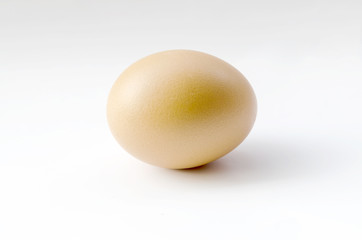 egg on white background